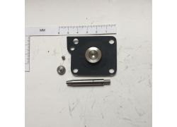 T-21029 Diaphragm of pressure regulator, Dodge, Renault USA 1983-87