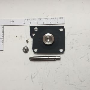 T-21029 Diaphragm of pressure regulator, Dodge, Renault USA 1983-87