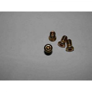 R-Torx-KLR Kaasuläpän ruuvi, torx, messinkiä, linssikanta, 1 kpl